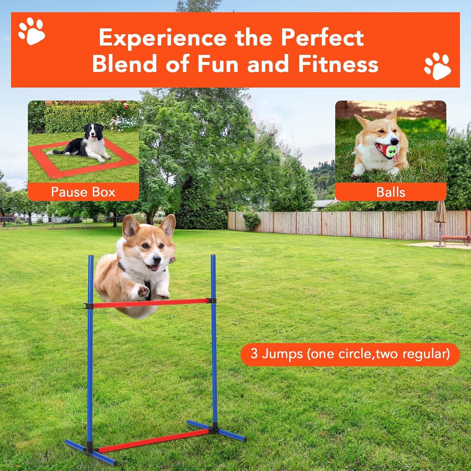 Dog Agility Training Kit Equipment with Tunnel,Adjustable Dog Hoop