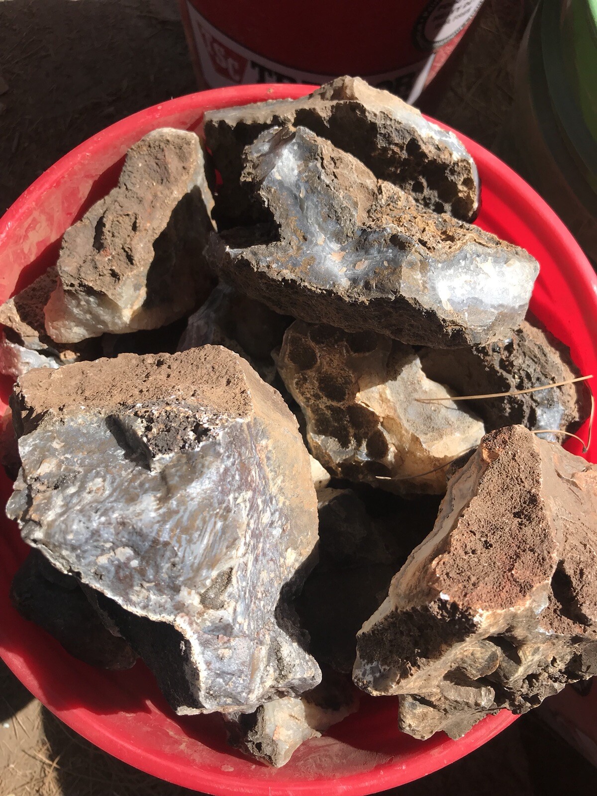 Colorful Agates From o6 Kokernot West Texas Ranch: Agate Rough Lapidary Rock