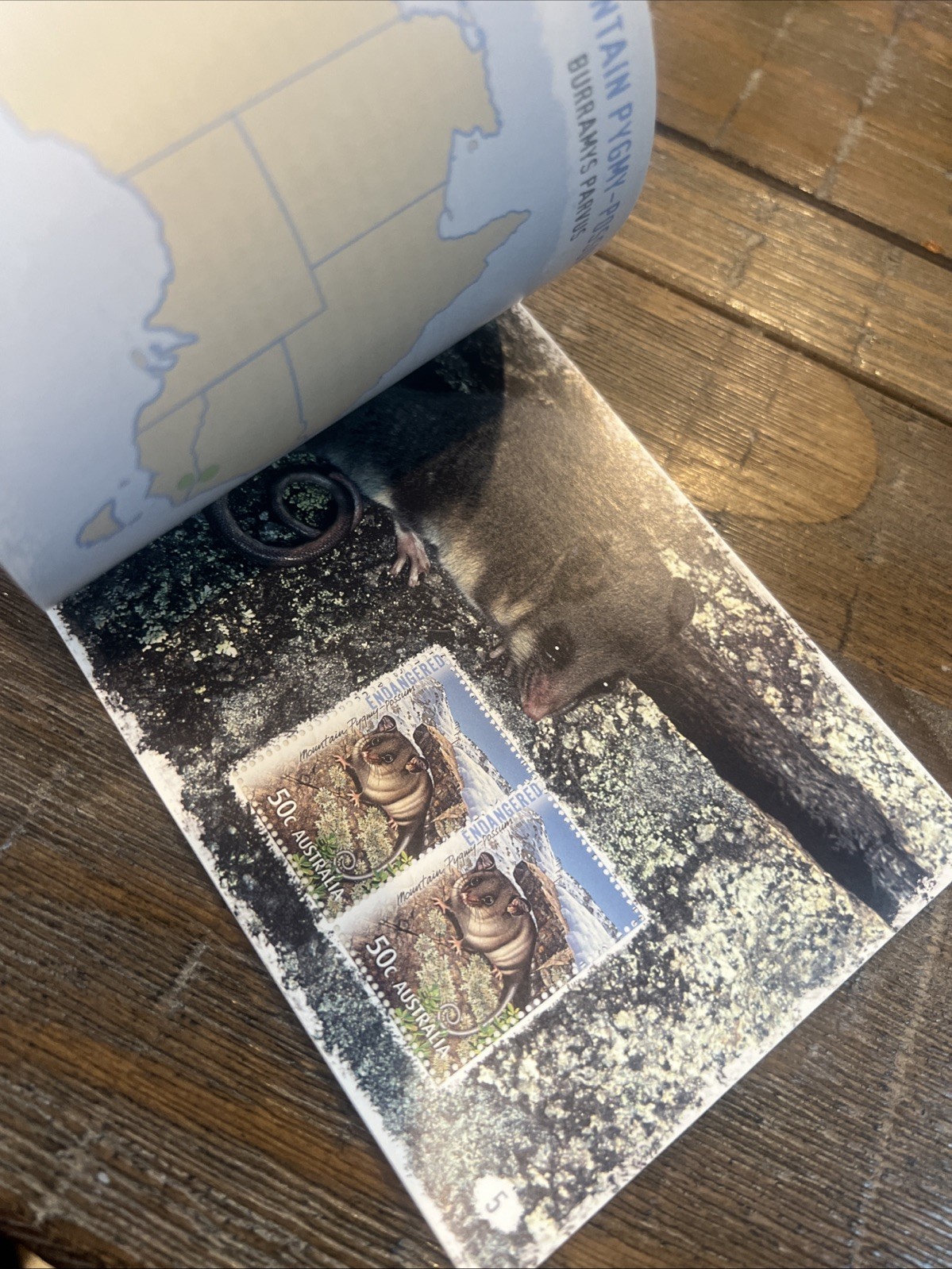 Lot Of 6: Australia Prestige: Dogs, Dangerous Aussies, Wallabies, Birds, Etc.