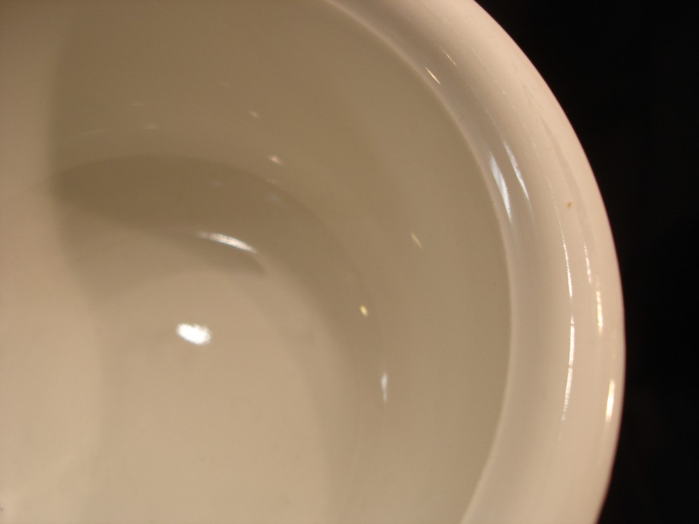 Florida by Thomas FRUIT & DESSERT BOWL 5 3/8"