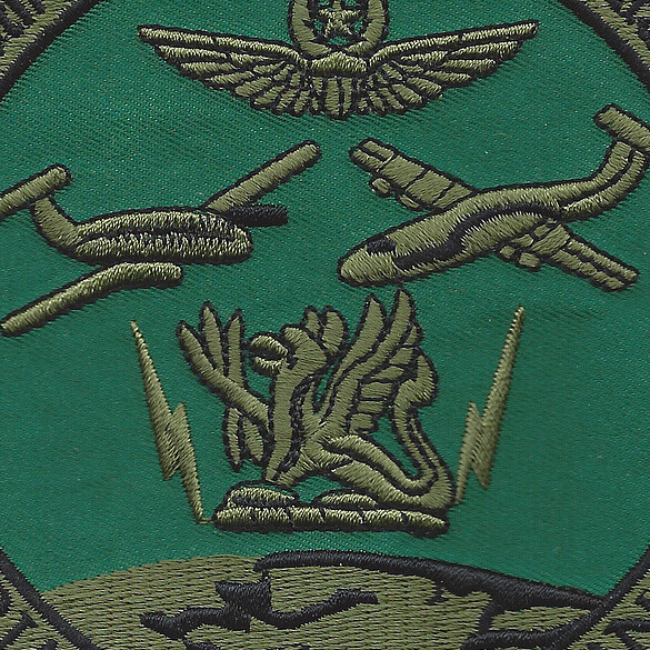 204th Military Intelligence Battalion Patch