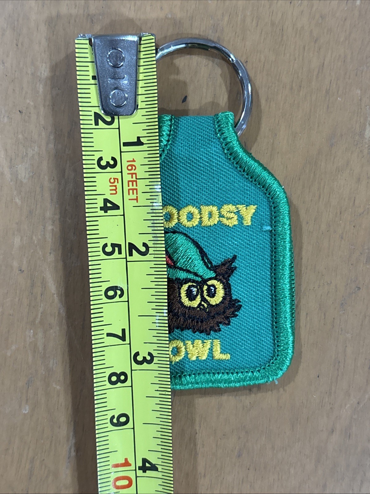 VINTAGE WOODSY OWL "Give a Hoot Don't Pollute" Keychain