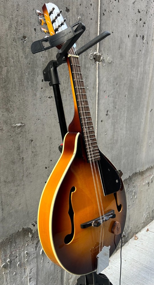 Savannah so-sa090-tsn Mandolin 8 string with Pickup (read)