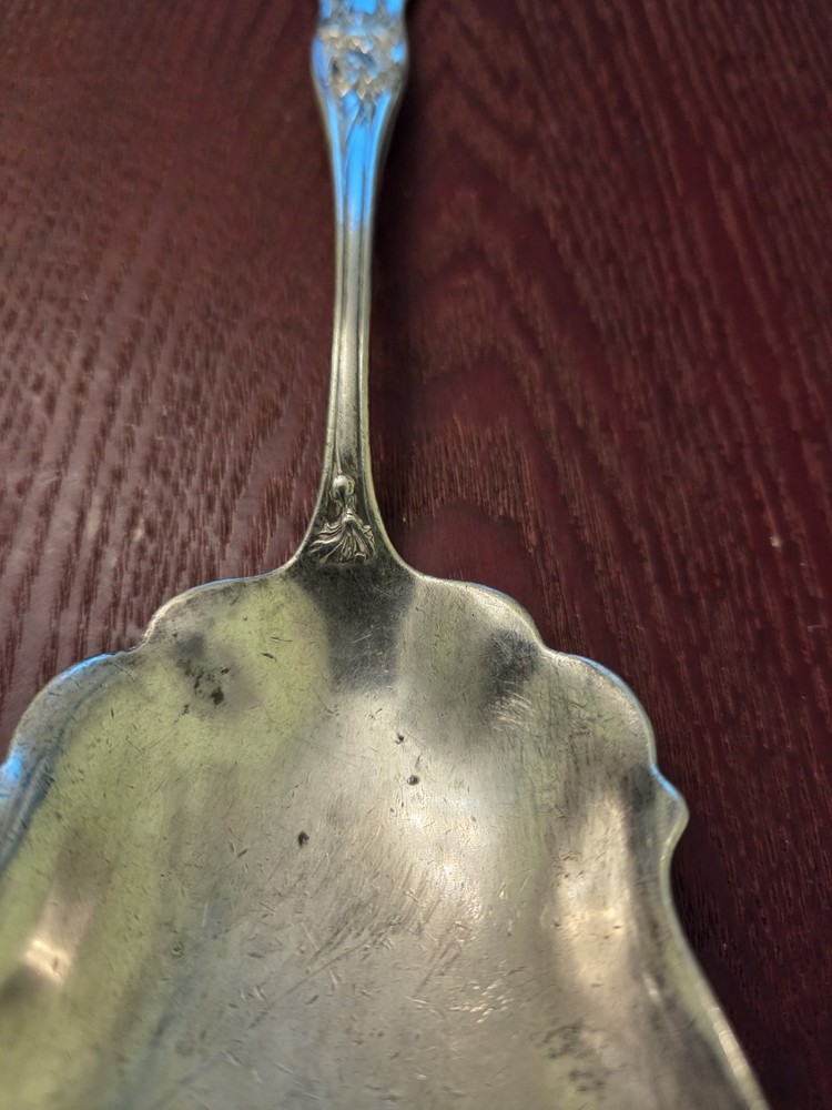 Sheffield Silverware S. H. Co. Quadruple Plate Large Casserole Spoon Carnation