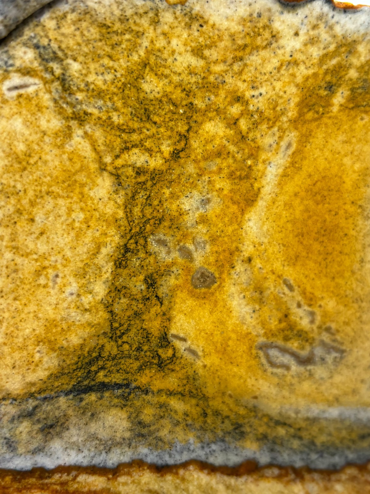 Disaster Peak Picture Jasper Slab Cabbing Lapidary Collecting Combo Ship Avail