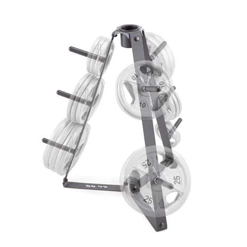 Plate Tree for Standard Size Weight Plates/Storage Rack for Exercise Weights