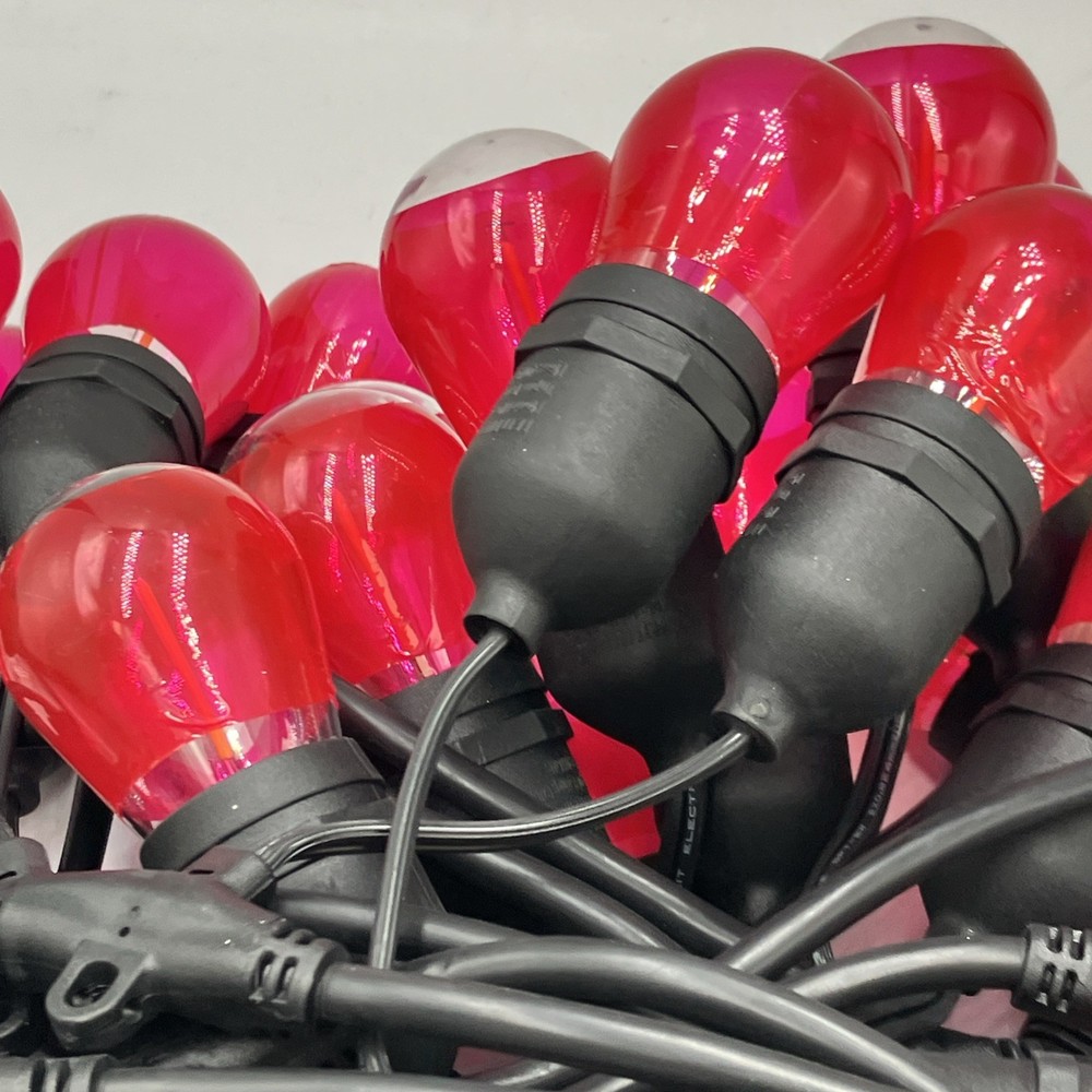Hampton Bay Shatterproof Filament String Lights - 48ft