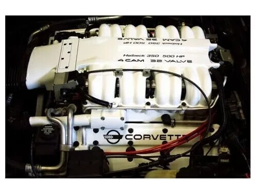 Universal White Coating Paint High Temp Engine Enamel Caliper Brake Rotor Spray