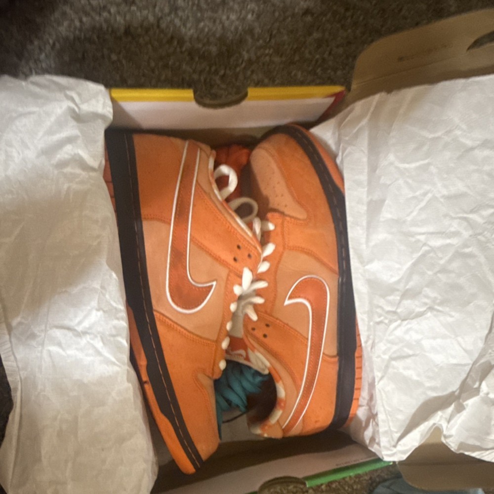 Nike SB Orange Lobsters