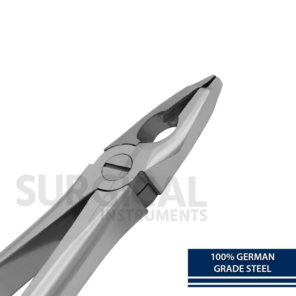 Heavy Duty Extraction Forceps #F3 Gold Hollow Python Grip Handle German Grade