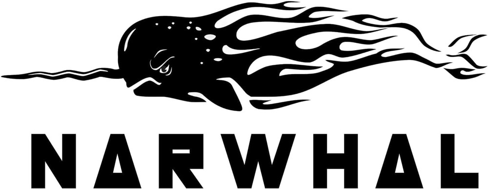 Extra Long Allen Wrench Hex Bit Socket Set (10 Pack) - Long 6" Hex Bit in 3/8...