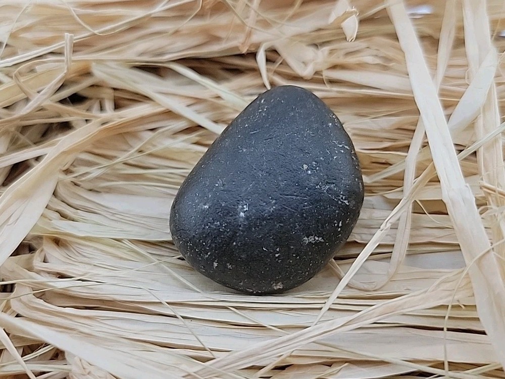 Real Permineralized Reptile Egg Fossil