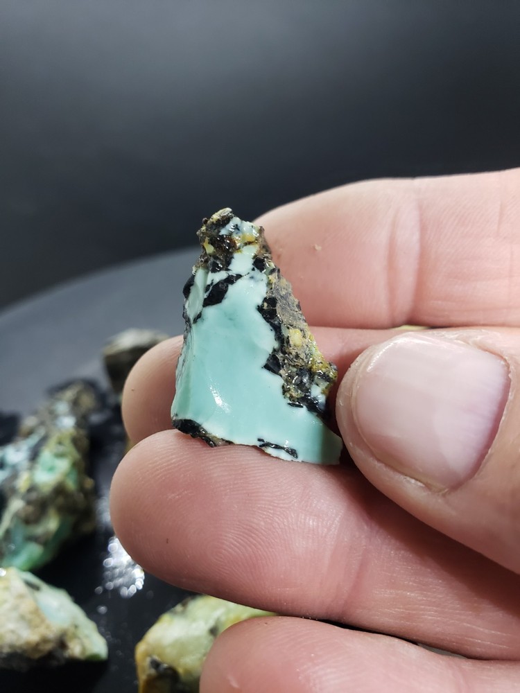 Nevada Gecko Variscite Rough 1/4 Lb