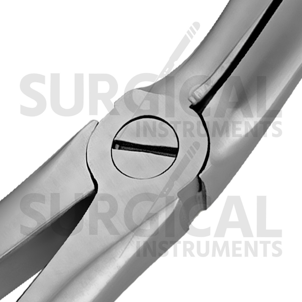 Heavy Duty Stainless Extraction Forceps #67A - Gold Hollow Python Grip German Gr