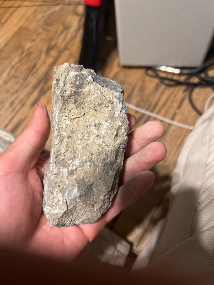 fossils other