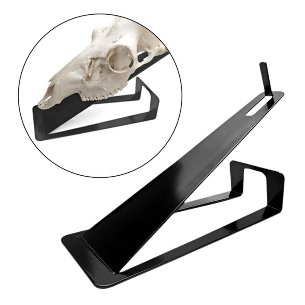 Deer Skull Mount Hanger Iron Bracket Table Top Stand