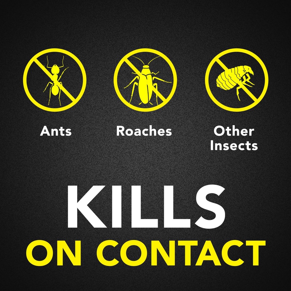 Raid Ant & Roach Killer Spray For Listed Bugs Keeps Killing for Weeks Lemon