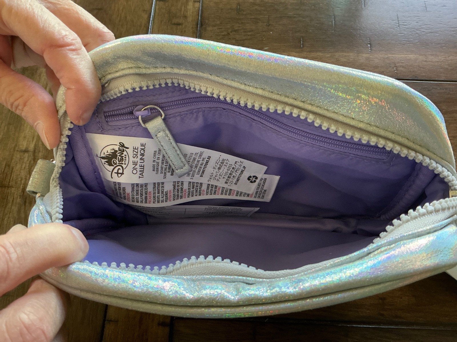 NWT Disney Parks Crossbody Bag