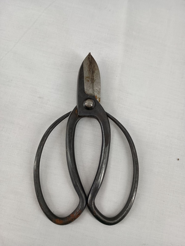 Koryu Scissors