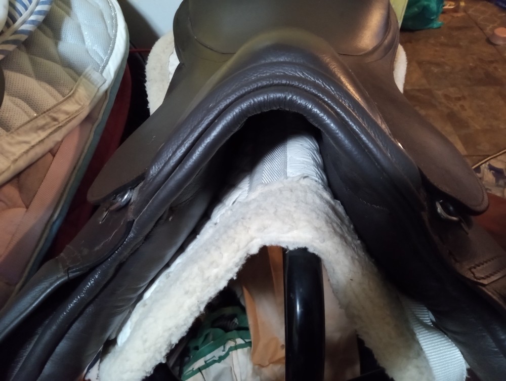 english saddle