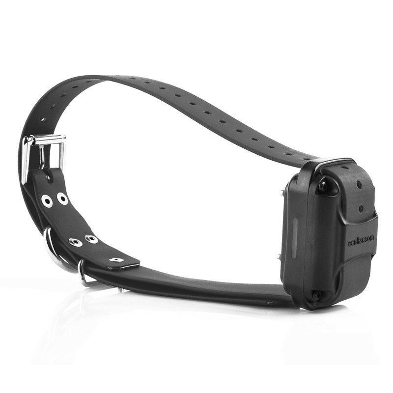 E-Collar Technologies RX-120 Large Receiver with Strap