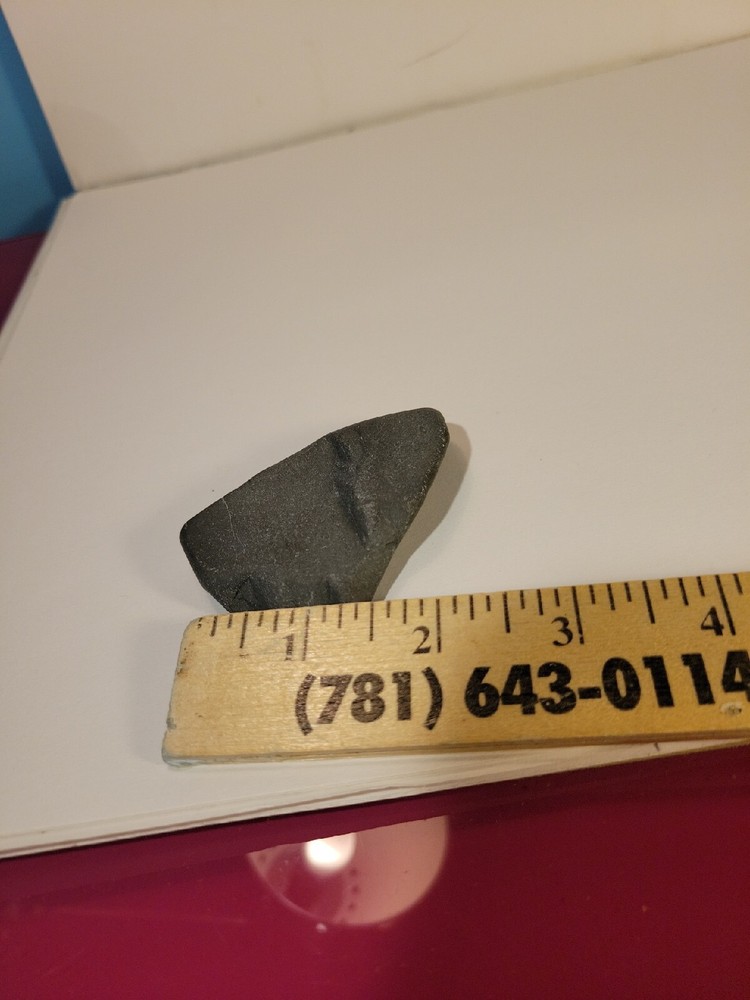 Fine Grained Graywacke Specimen