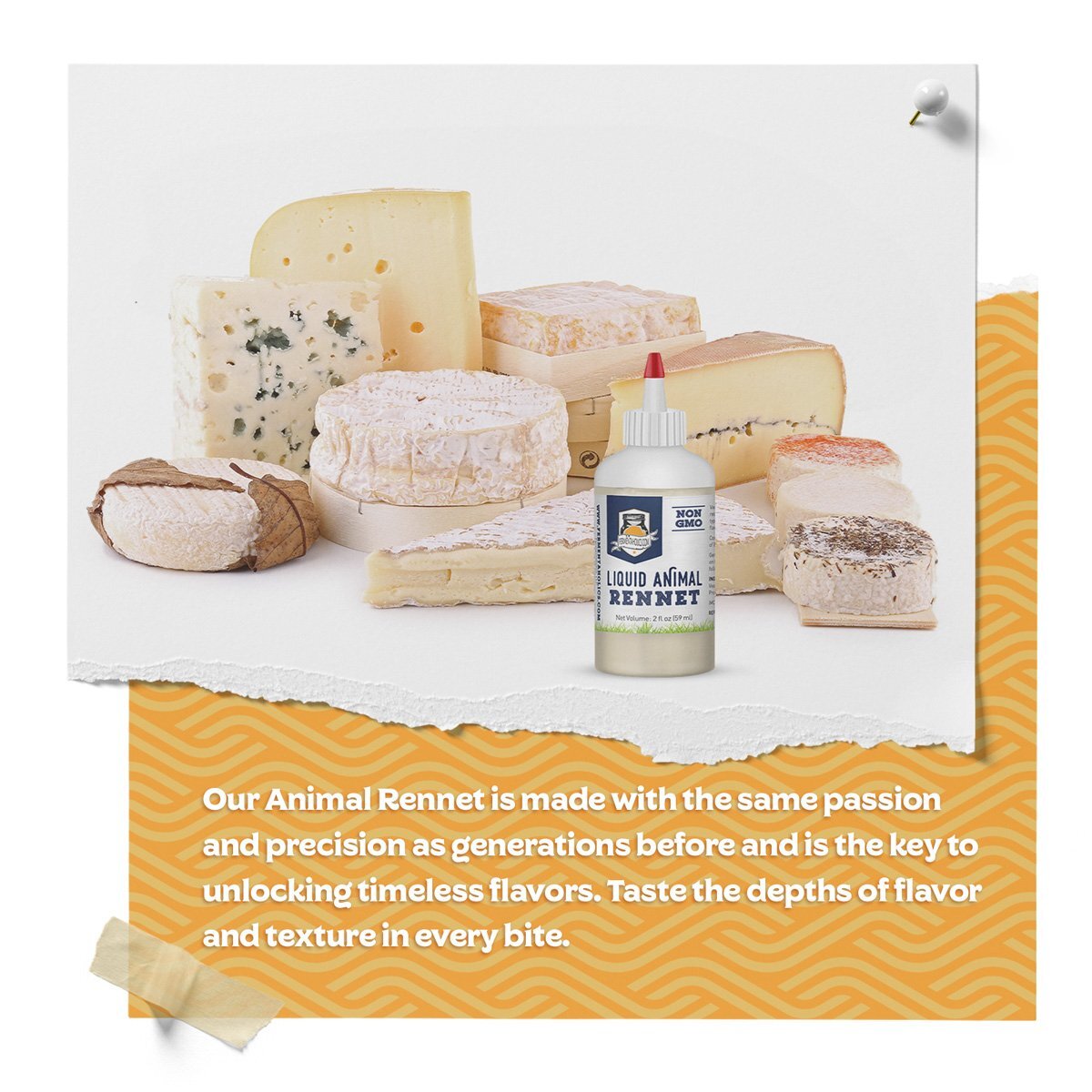 Fermentaholics Liquid Animal Rennet for Cheese Making Milk Coagulant - 2 oz