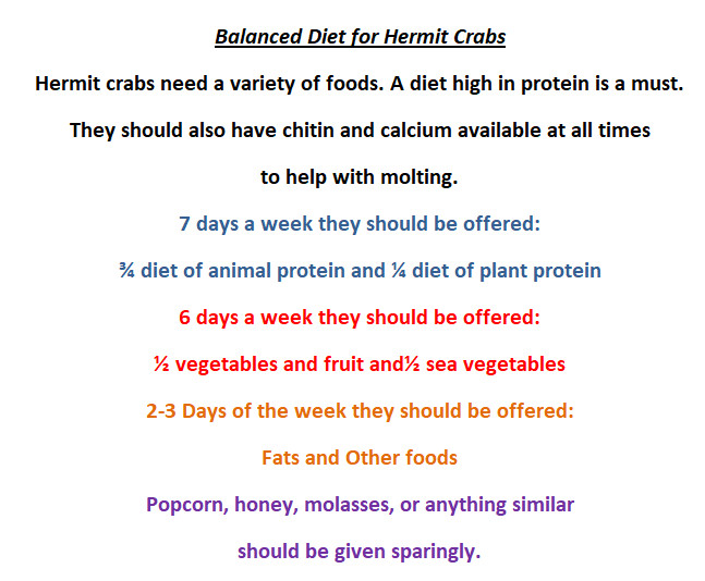 Mini Cod Chips - Hermit Crab Food