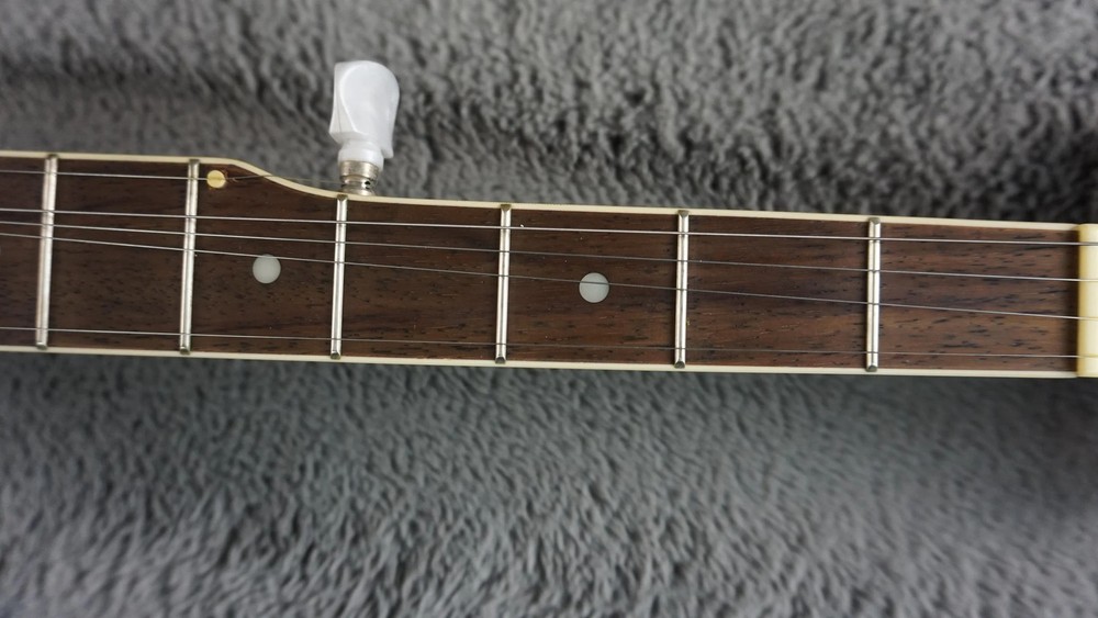 Aria 5-String Banjo Japan w/ Hard Case