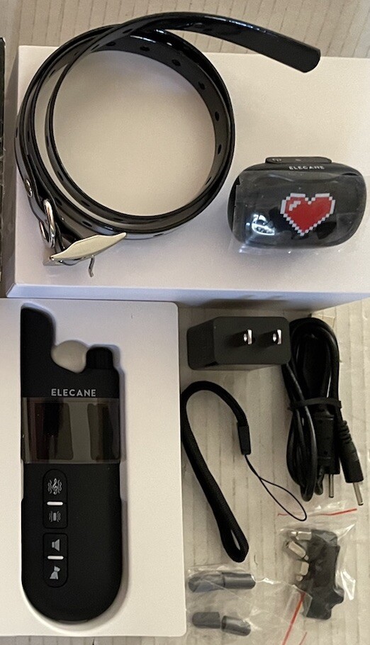 Training Collar for Small Dog