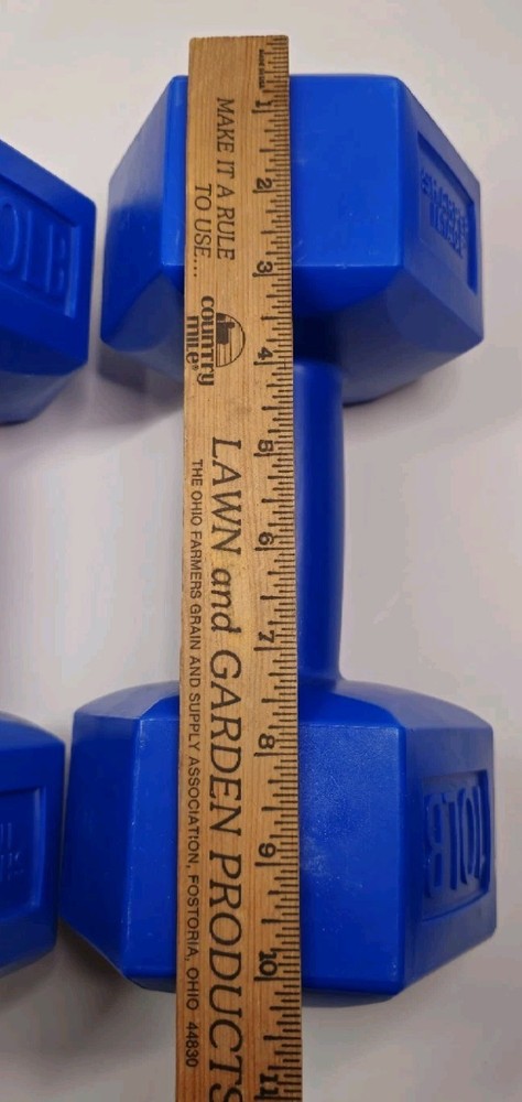 2 Sharper Image 10 lb Dumbbells Weights Exercise Equipment Workout