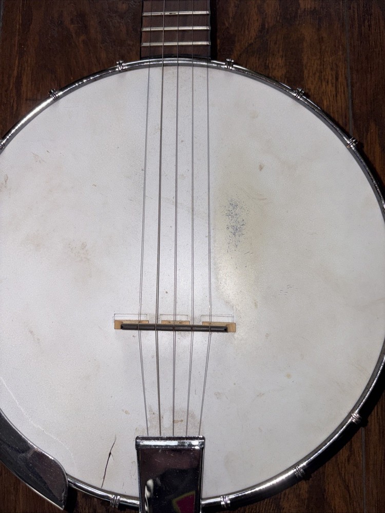 Fender 5 String Banjo & Bag Used