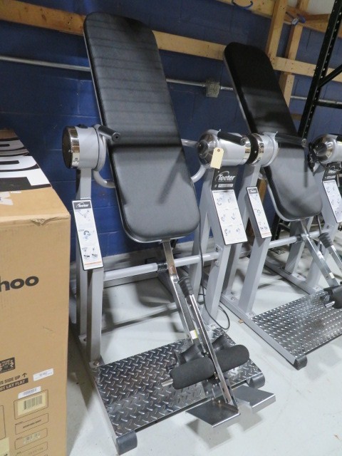 Teeter Hang ups Power Inversion Table