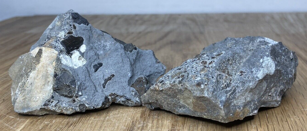 Fossil Specimens, Set of 2 Rhaetic Bone Bed Sections, Suffolk, 86mm