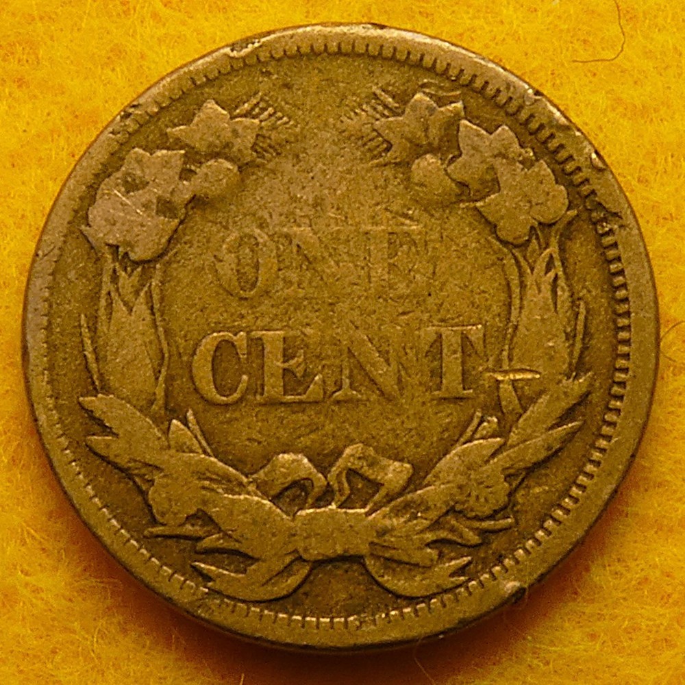1858 Small Letters Flying Eagle Cent with full eagle and some feather detail