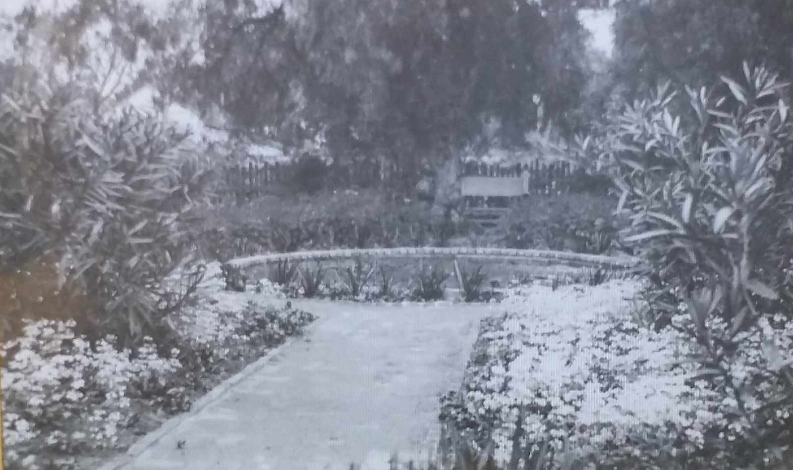 1935, Artists Guild Garden, San Francisco, CA, Magic Lantern Glass Photo Slide