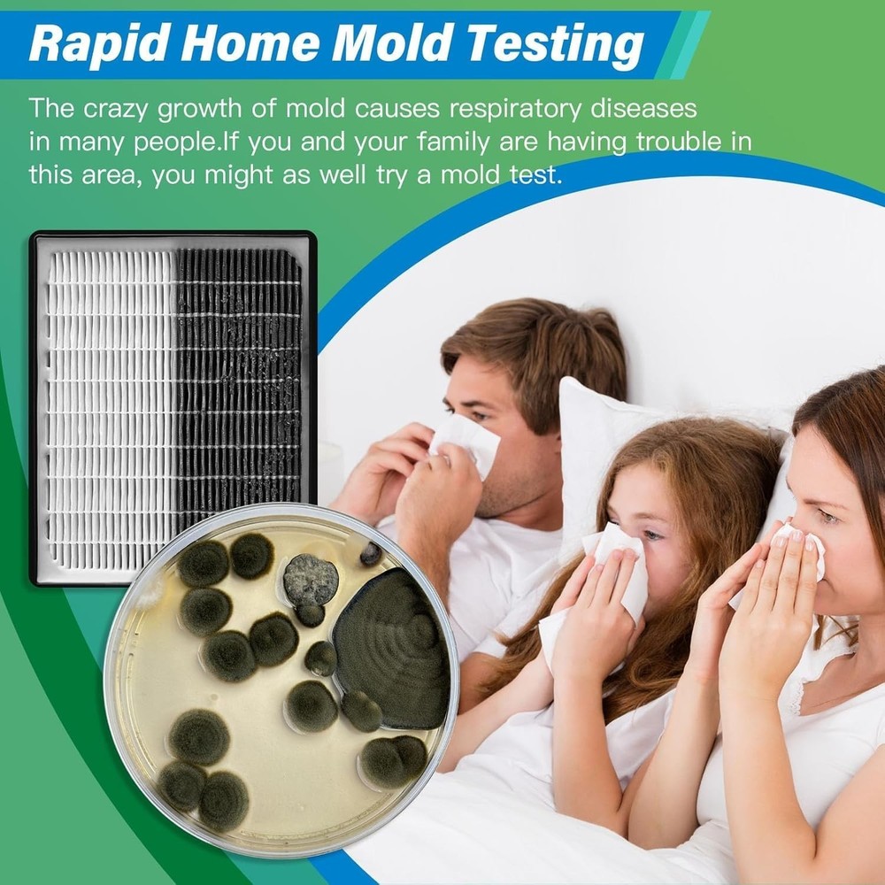 DIY Mold Detector - 12 Tests, Detailed Identification Guide