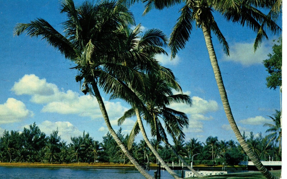 WHISPERING PALMS, FL - PC7038
