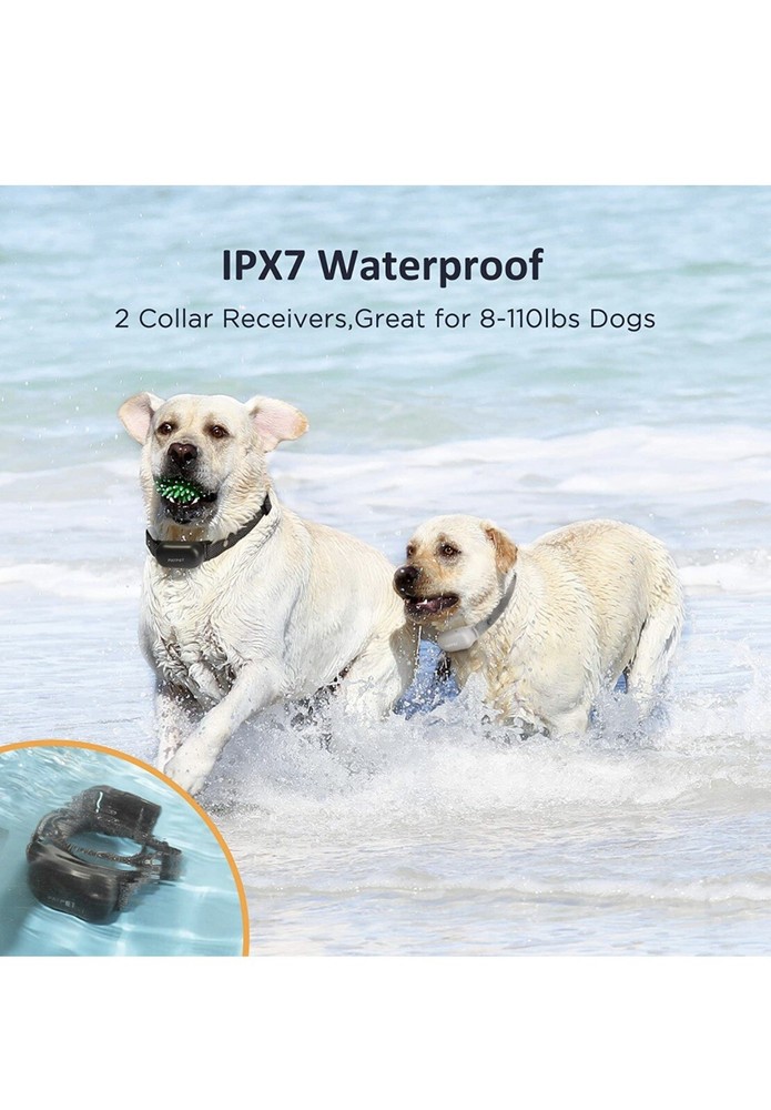 dog shock collar with remote