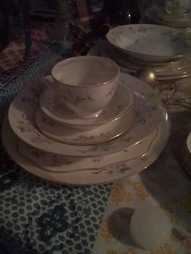 Vintage Eggshell Nautilus