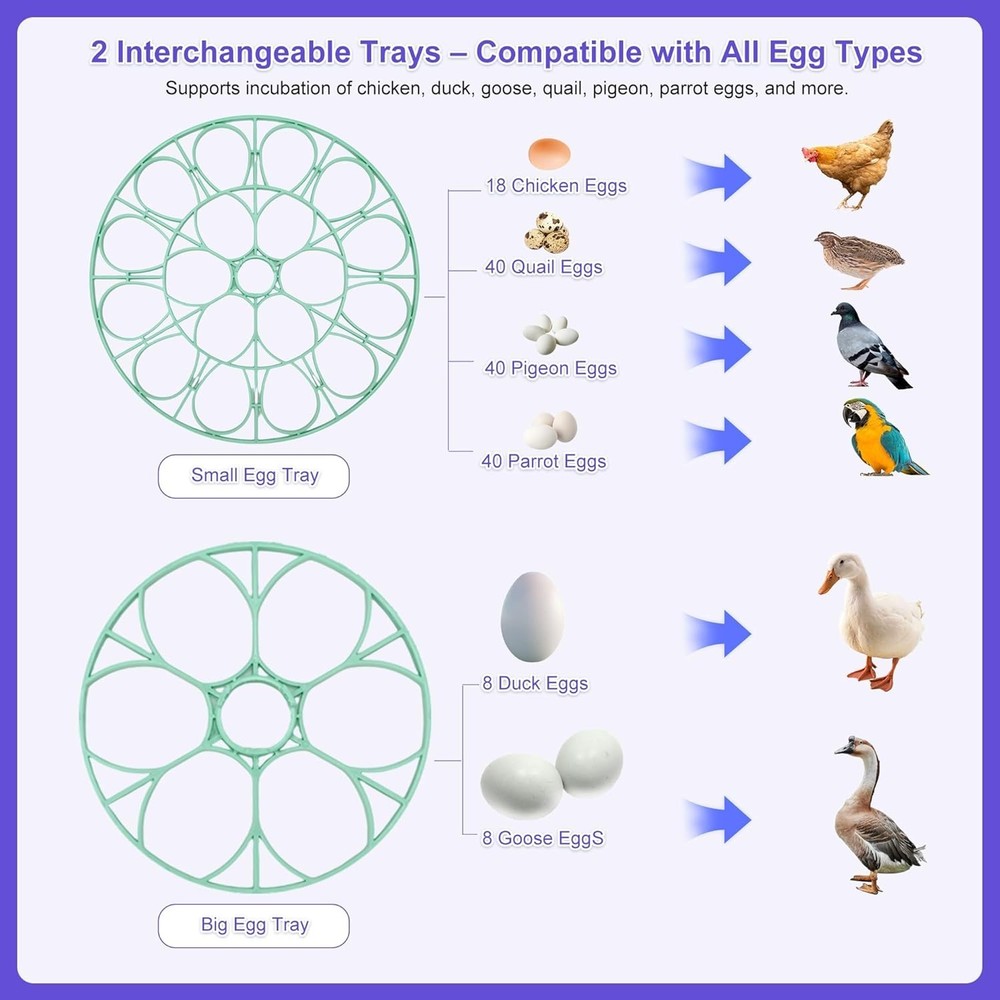 18 Egg Incubator for Hatching Chicks, Automatic Egg Turner Holds 18 Eggs, Sma...