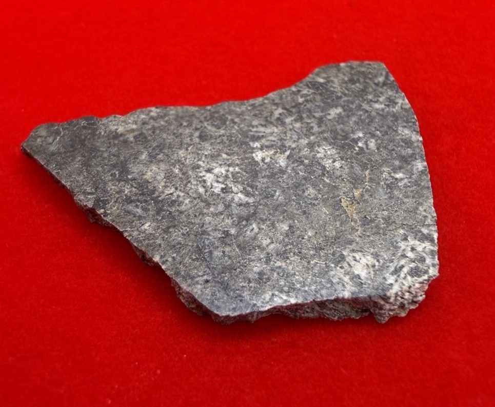 Amgala 001 Martian Meteorite Slice, Shergottite Mars Rock, Rare Meteorite, 1.91g