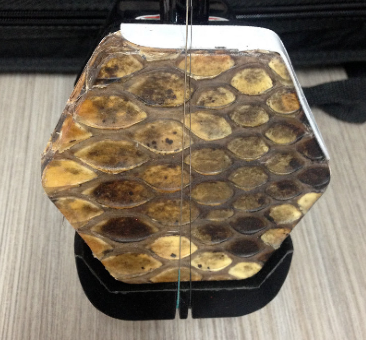 Erhu, Chinese 2-stringed Fiddle, Solid Timber Body,Neck+ Foam Case, Extra String