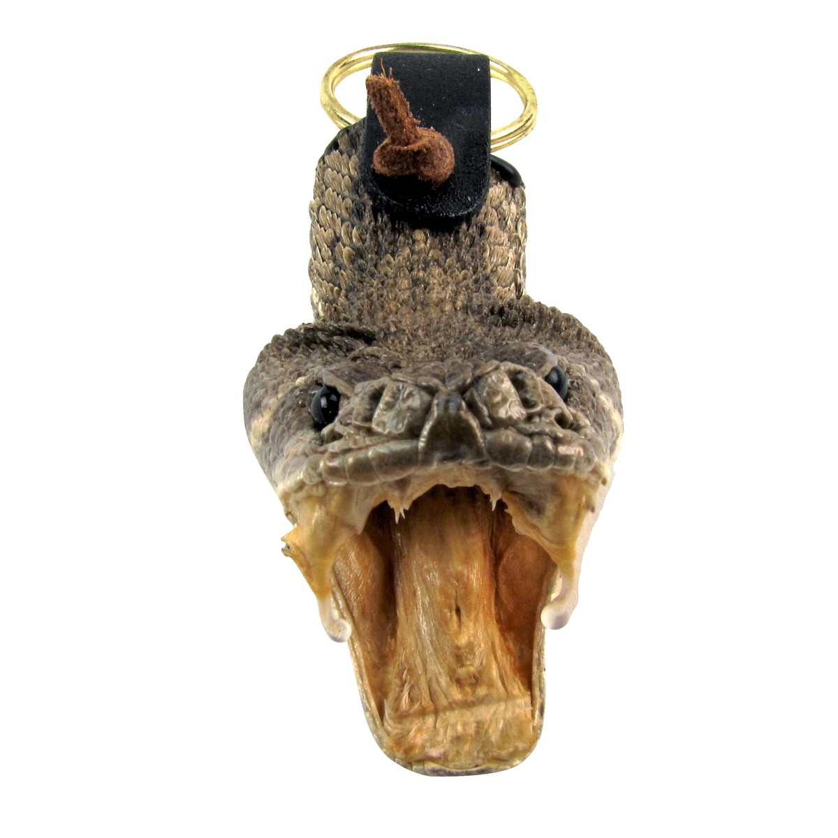 Eastern Diamondback Rattlesnake Head Keychain Real Taxidermy Car Key Ring Chain