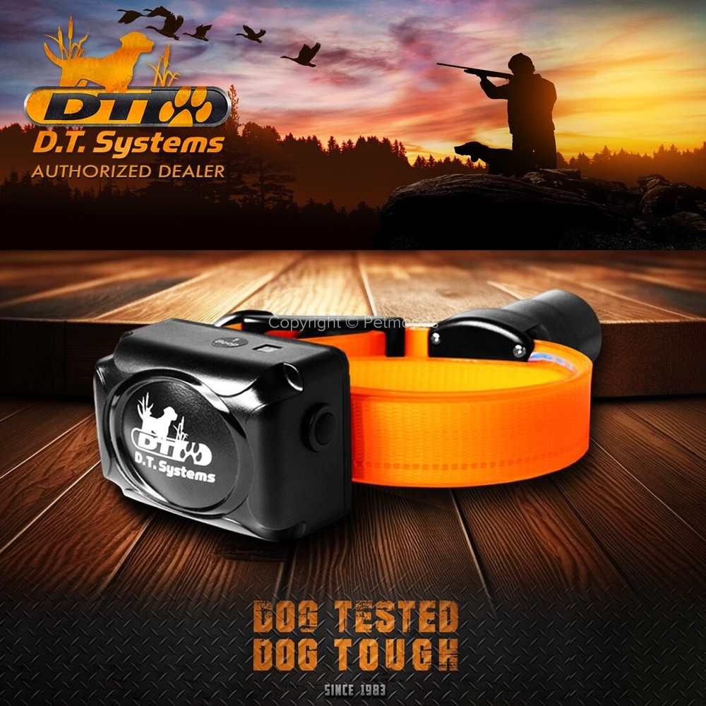 DT Systems BTB-809 Single Beep Baritone Dog Beeper Collar with Remote Control