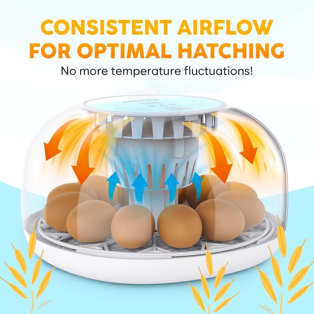 Incubators for Hatching Eggs 12 Egg Automatic Turner with Temperature Humidity
