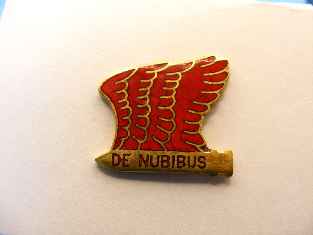 101 Airborn DIVARTY  Unit Crest