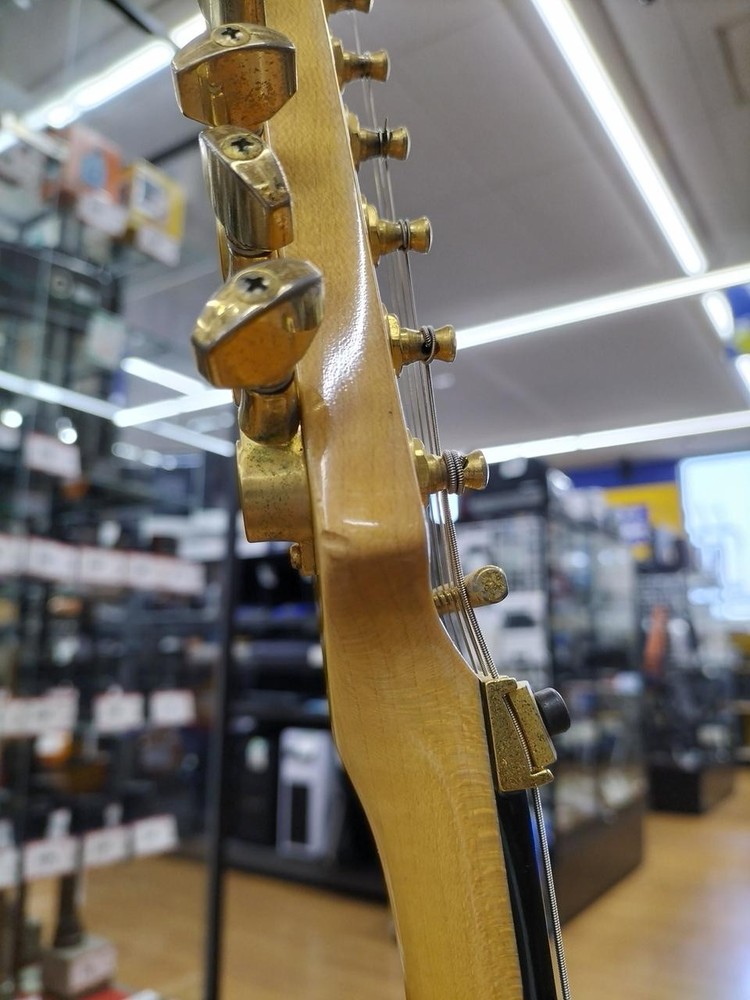 FERNANDES FR-155S FERNANDES top model!