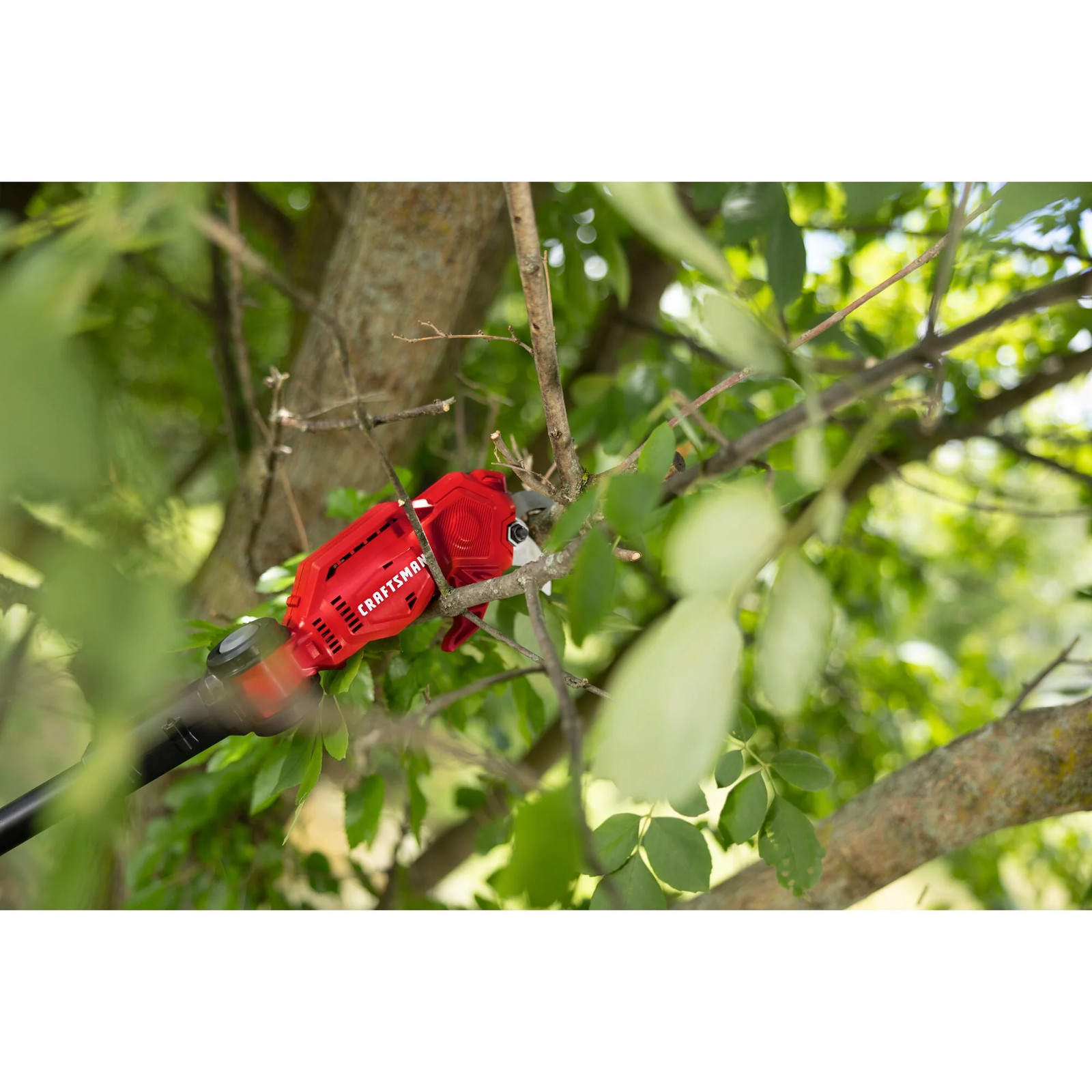 CRAFTSMAN V20* Cordless Pole Pruner (Tool Only) - CMCPPR320B