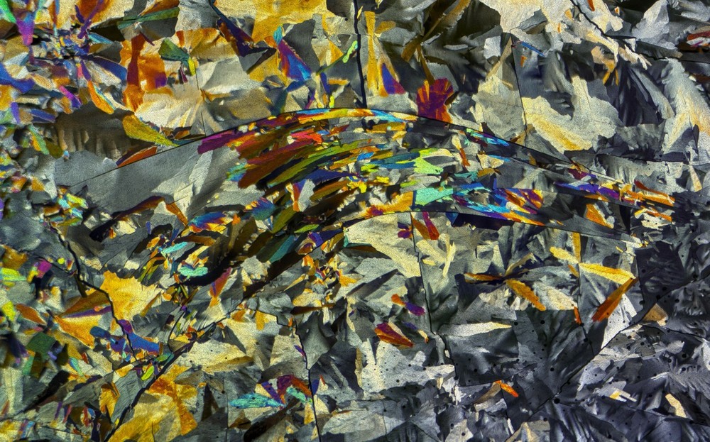 Microscope slide for polarization, GLUTARIC ACID (melt)